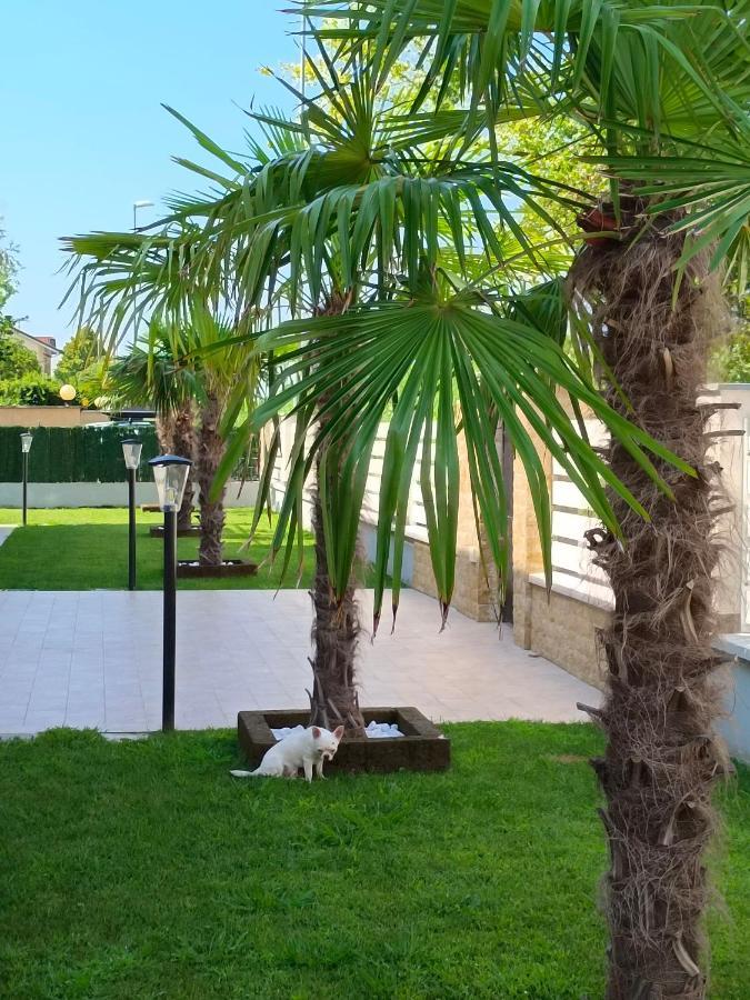 Residence Deamarina مارينا دي ماسا المظهر الخارجي الصورة