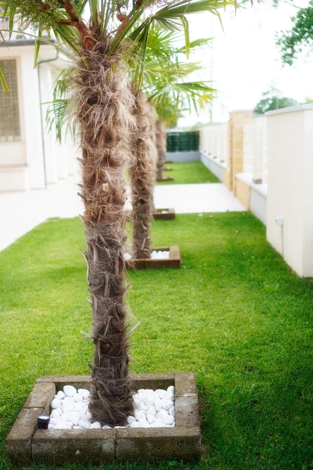 Residence Deamarina مارينا دي ماسا المظهر الخارجي الصورة